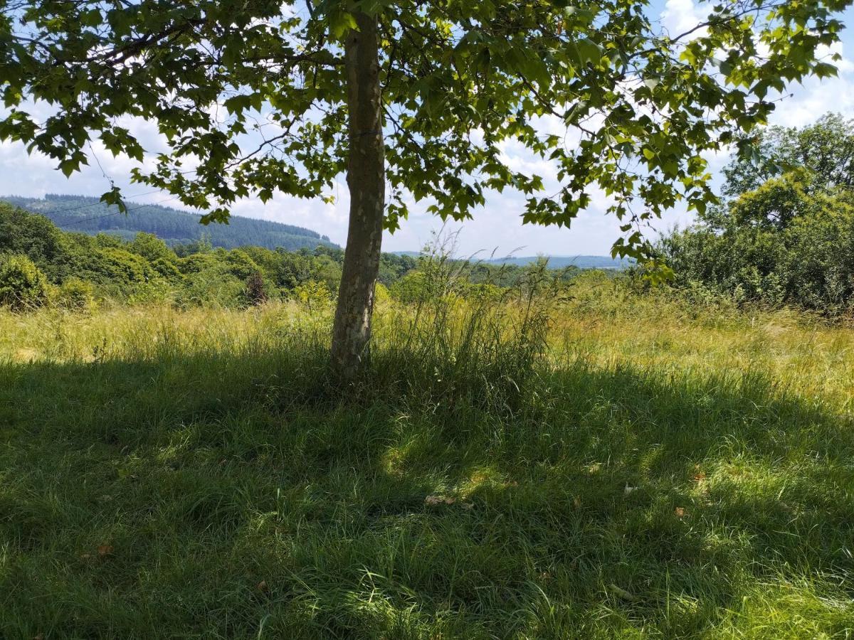 La Foret Du Morvan Vintage Caravan